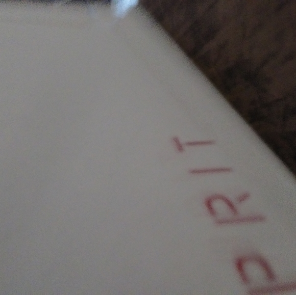 Booties - Picture 4 of 4